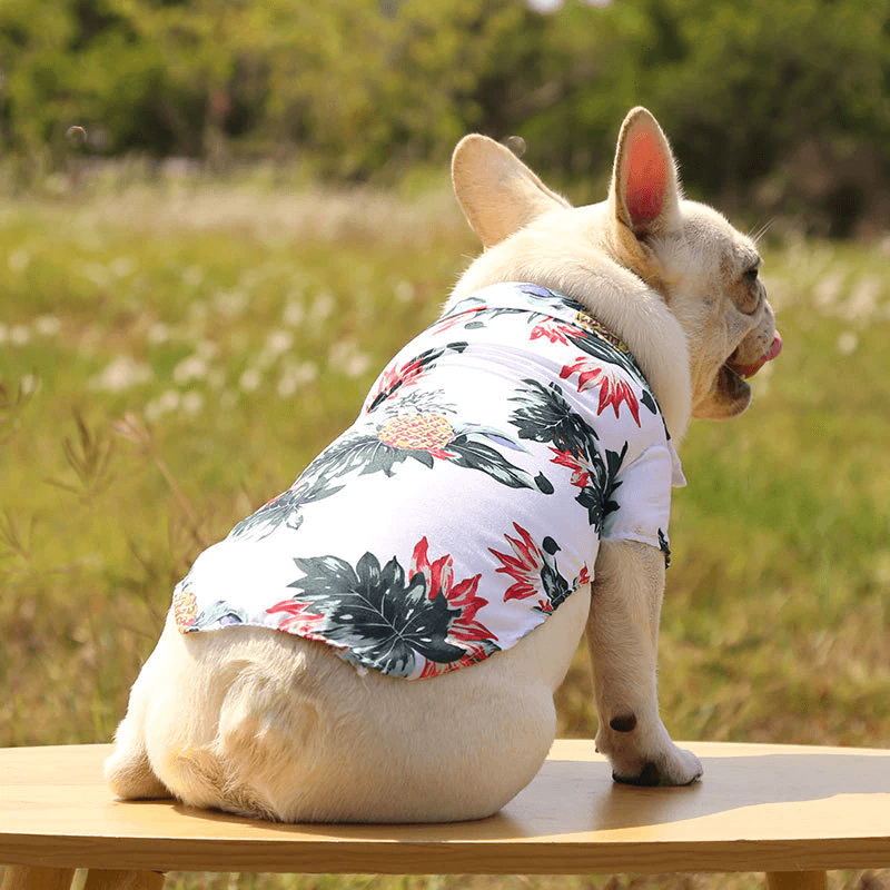 Hawaiiaans strandshirt voor huisdieren