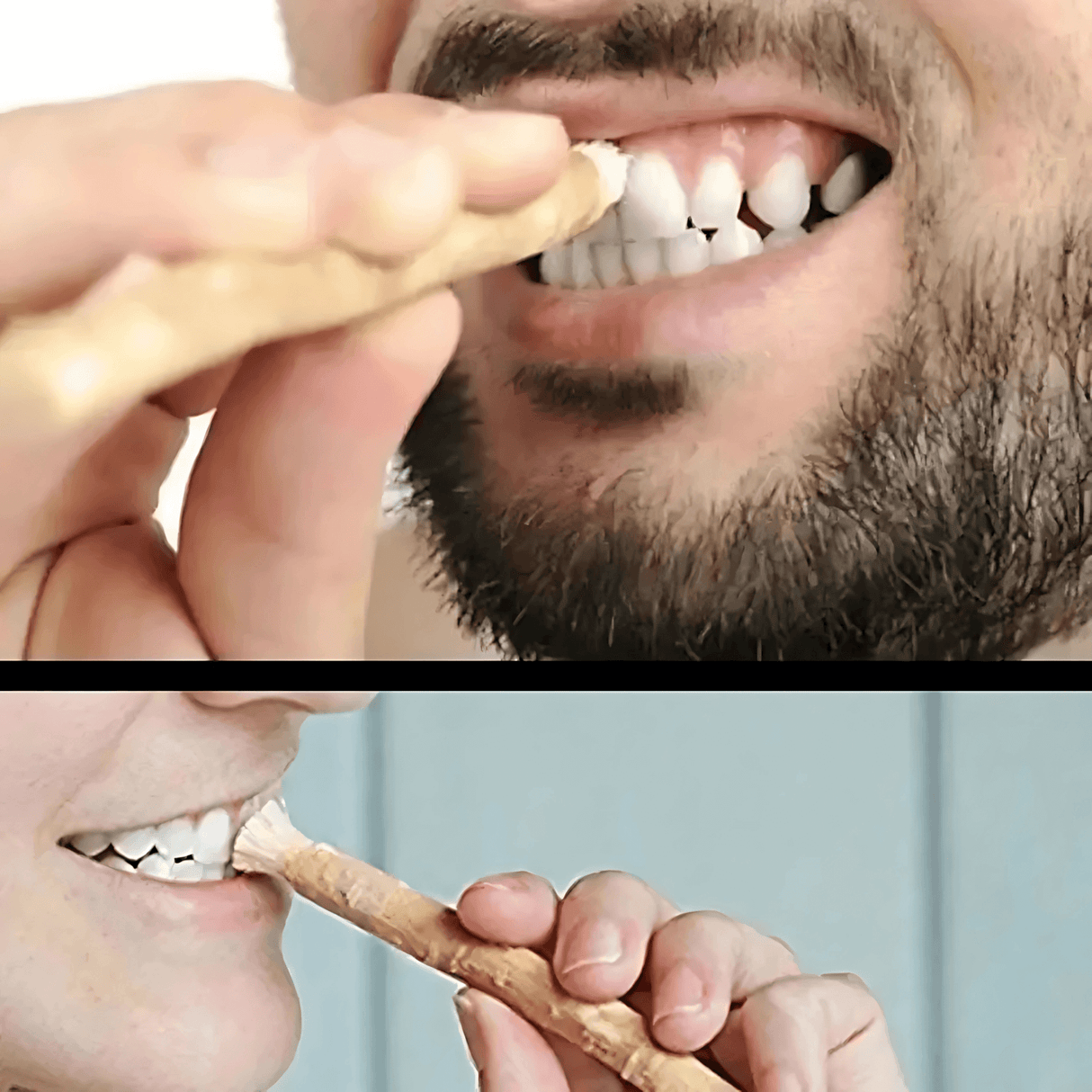 HerbaBrush – Naturlig Tandborste av Miswak för Traditionell Munvård och Resa