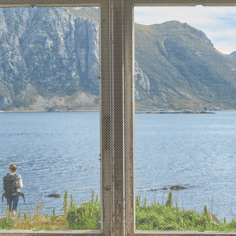 Zelfklevend Insectengaas - Eenvoudige installatie en effectieve bescherming