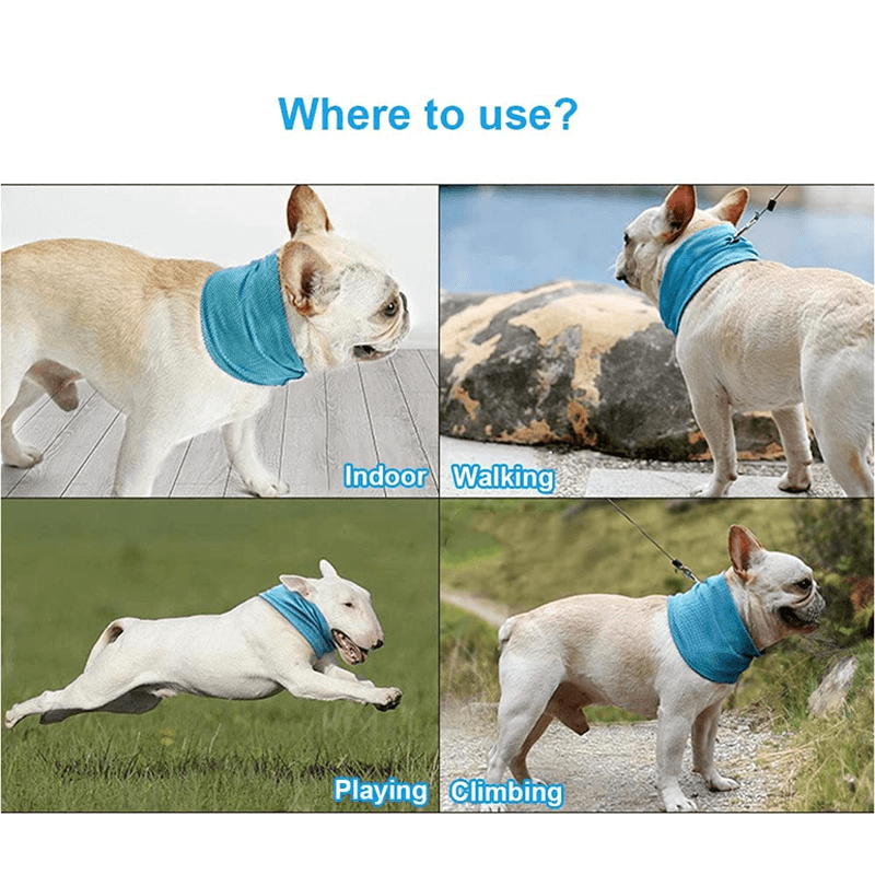 Koelhalsband voor huisdieren