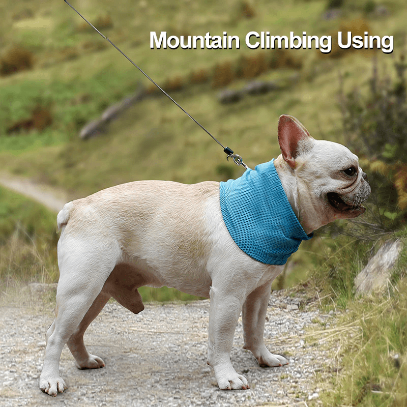 Koelhalsband voor huisdieren