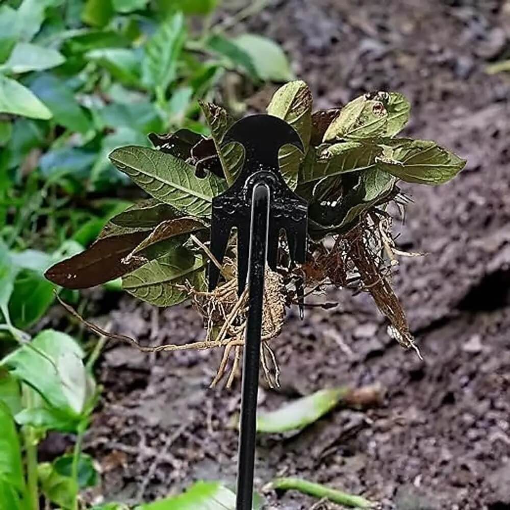 WeedFlex onkruidverdelger - effectief handgereedschap voor onkruid verdelgen in de tuin