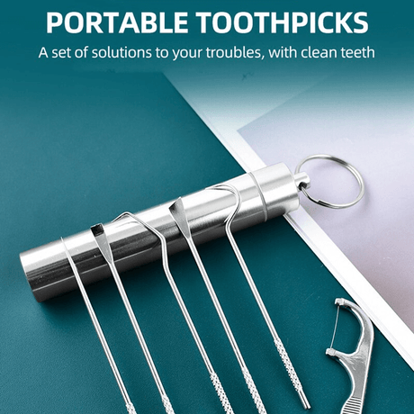 Roestvrijstalen tandenstoker set herbruikbaar