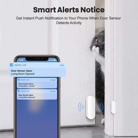 Slimme deursensor met WiFi en Bluetooth