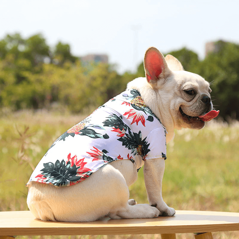 Hawaiiaans strandshirt voor huisdieren