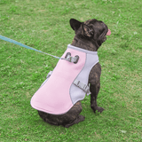 Koelvest voor honden