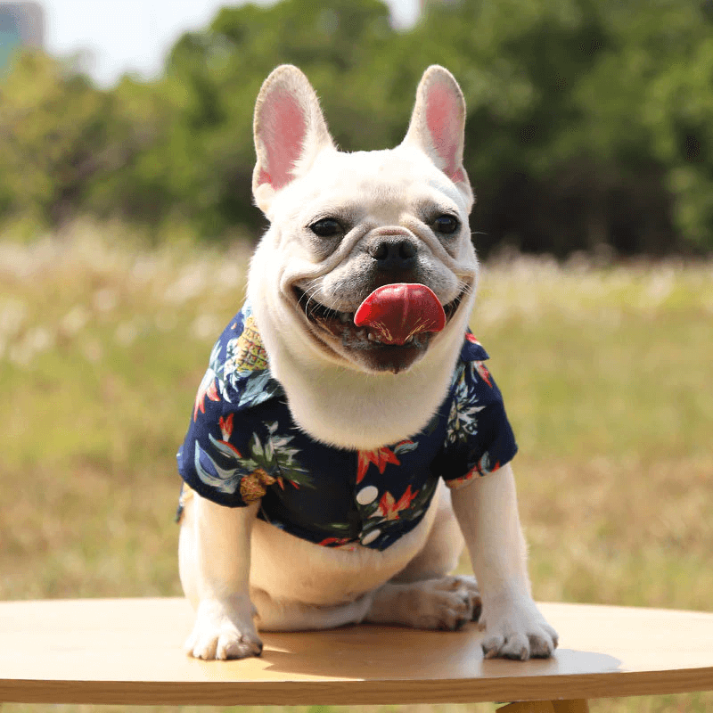 Hawaiiaans strandshirt voor huisdieren