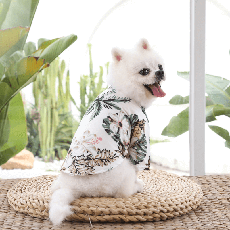 Hawaiiaans strandshirt voor huisdieren