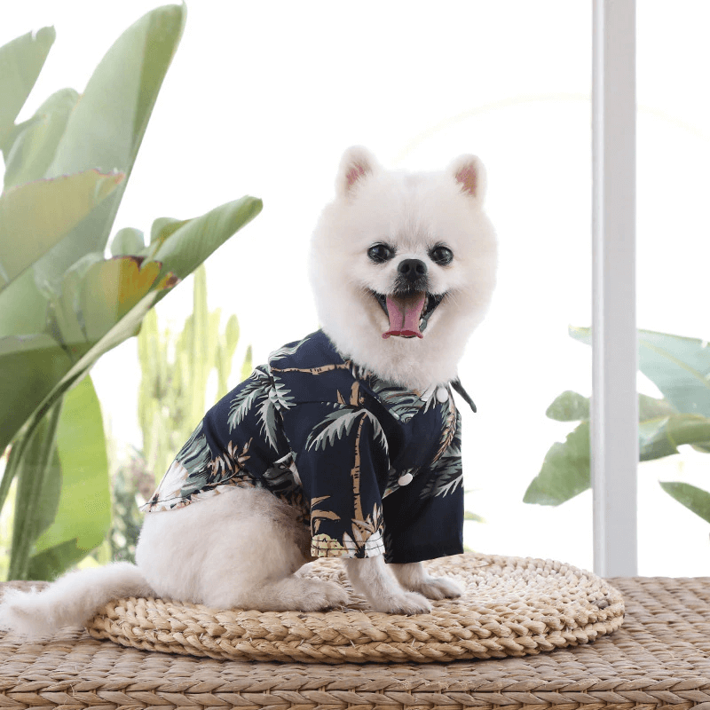 Hawaiiaans strandshirt voor huisdieren