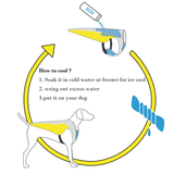 Koelvest voor honden