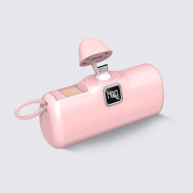 Draagbare Mini Powerbank 5000mAh