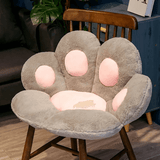 Kattenpoot zitkussen