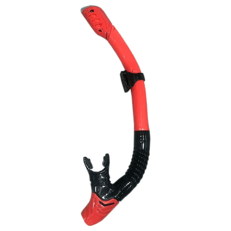 Professioneel duiken Snorkelen