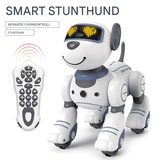 Elektronische robothond