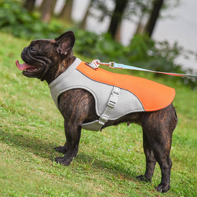 Koelvest voor honden