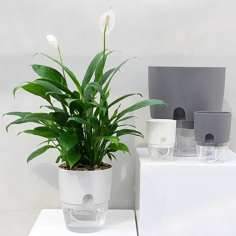 AquaBloom - Zelfwaterende pot met dubbele laag | Maakt het verzorgen van planten eenvoudiger dan ooit